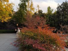 -西安城墙·碑林历史文化景区