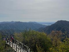 -大岭沟猕猴桃谷风景区