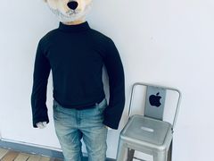 -济州岛泰迪熊博物馆