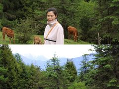 -硗碛藏寨·神木垒景区