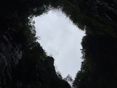 -苗人谷