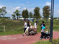 -春花秋色城市公园