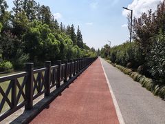 -上海长兴岛郊野公园