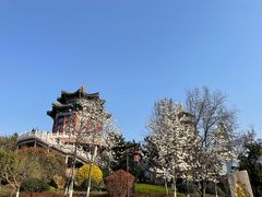 -湛山寺