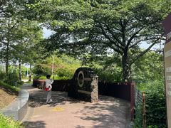 -王借岗森林公园
