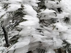 -洛阳白云山景区