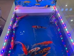 -汤姆熊欢乐世界(滨江店)