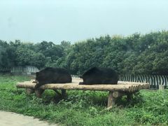 -西安秦岭野生动物园