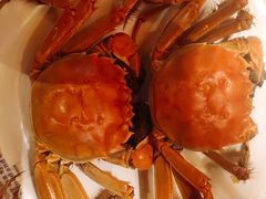 -星伦多自助料理·涮烤一体(嘉兴八佰伴店)