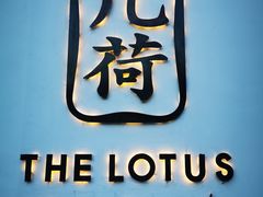 -几荷·恰似故人来(秀水广场店)