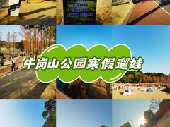 -牛岗山公园