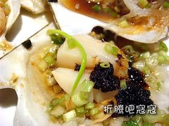豆豉扇贝-19号档口-京港生鲜(四道口店)