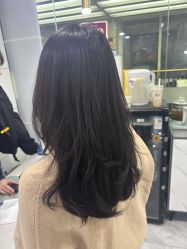 -镁连社·美联社