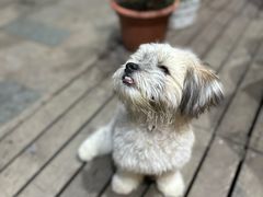 -白熊咖啡(闽江大道店)
