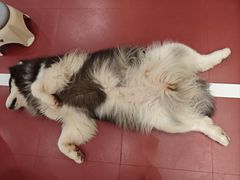 -和它·交个朋友·狗咖猫咖(爱琴海店)