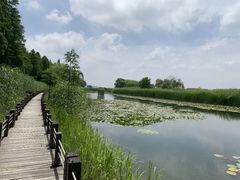 -太湖湖滨国家湿地公园-停车场
