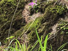 -巧手推拿中心(盲人推拿)