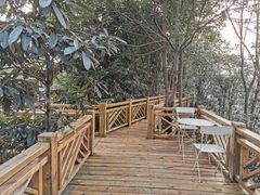 -桤木河湿地公园