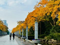 -上海科技馆(地铁站)