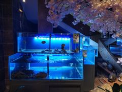 水产区-樱之盛宴·蟹料理海鲜自助(前进大街店)
