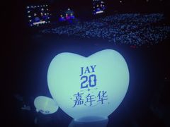 -南京奥林匹克体育中心-体育馆