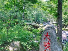 -茅兰沟国家森林公园