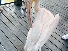 -南沙水鸟世界生态园