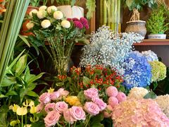 -静岸花卉园艺(三星坊店)