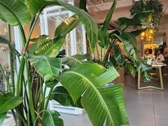 -ins森林童话餐厅coffee&bistro