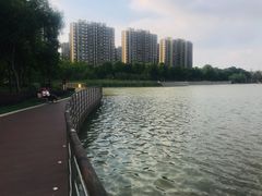 -南翔镇银翔湖公园