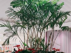 -LANN I 蘭 SPA(陆家嘴中心店)