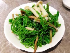 凉拌龙须菜-鼎泰丰(国贸商城店)