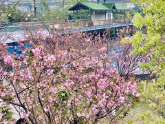 -茅草房·河畔园林火锅