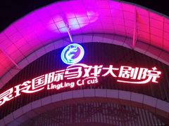 android_upload_pic-灵玲国际马戏城