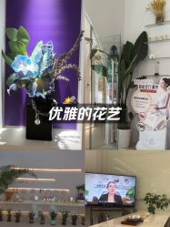 -紫琪尔·匠心连锁·胸部护理养护