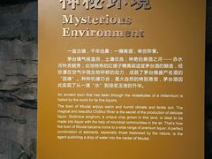 -中国酒文化城