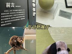 -国家自然博物馆