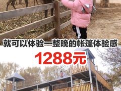 -安德鲁户外烧烤帐篷营地(马泉营店)