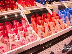 -猫咪博物馆(顶澳仔猫街店)