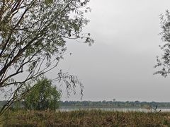 -绿堤公园