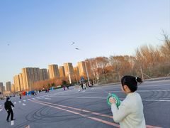 -丁香湖公园