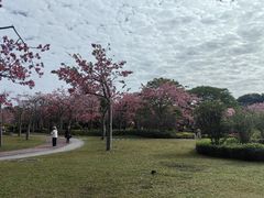 -风云岭森林公园