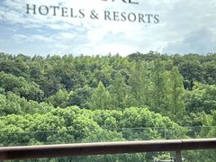 -上海佘山世茂艾美酒店