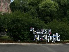 -秦皇岛野生动物园