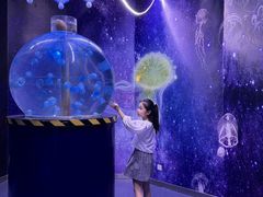 -海合安成都极地海洋公园