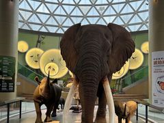 -陕西自然博物馆