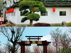 -武汉紫薇都市田园