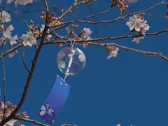 -凤凰沟景区