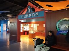 -海合安武汉极地海洋公园