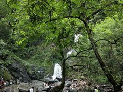 -石台牯牛降景区